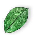 https://diq.sa/wp-content/uploads/2025/07/floating_leaf_01.png